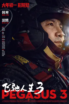 magnet 国内