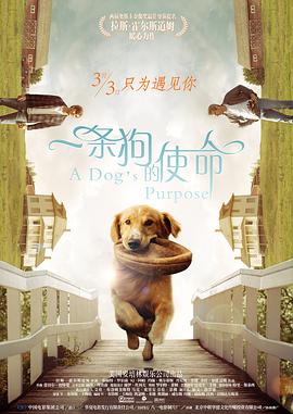 国内精品久久久久影院免费