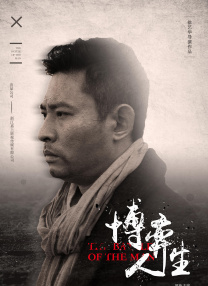 忙着工作的小姐