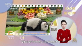 制服诱惑av